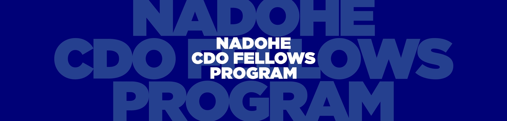 2023 - 2024 CDO Fellows Program
